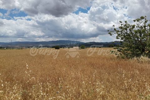Helårsgrund i Yecla, Murcia, Yecla - € 32.900 | Ref: SF0321 - foto 3